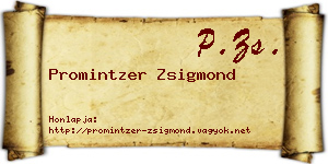 Promintzer Zsigmond névjegykártya